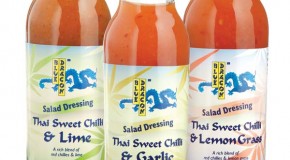 Blue Dragon enters salad dressings market with new Sweet Chilli range in time for sumer Blue Dragon enters salad dressings market with new Sweet Chilli range in time for sumer