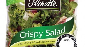 Florette predicts bumper summer sales for salad category Florette predicts bumper summer sales for salad category
