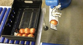 20+ new Blu-Robot pick and place solutions for budget conscious manufacturers 20+ new Blu-Robot pick and place solutions for budget conscious manufacturers