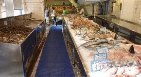 Matting solves the wet fish problem Matting solves the wet fish problem