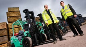 Savings as potato plant goes green – Mitsubishi LPG forklifts prove cleaner, greener and cheaper than diesel