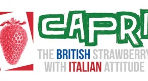S&A Produce launch Capri, a British Strawberry with Italian attitude