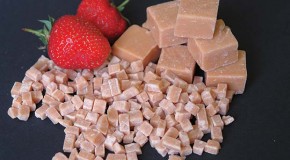 Pecan Deluxe launches bake-stable fudge for bakeries worldwide